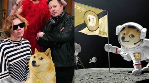 Who let the Doge out? Whole cryptocurrency scene now resembles a joke - India Today