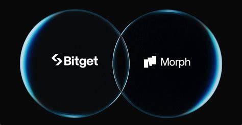 Bitget宣布将控制的4.4亿BGB代币全部转移至Morph基金会,推动BGB从交易所代币向Layer 2链燃料和治理代币的转型。此举标志着BGB在区块链支付及消费者金融领域中的重要地位,同时开启了代币生态的新篇章。
