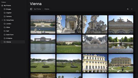 深入探讨Imagor Studio自托管图片图库与实时编辑应用的强大功能,揭示其如何助力摄影师、设计师及内容创作者实现高效专业的图片管理与创作体验。详尽介绍安装部署、核心特色及实际应用场景,助力用户快速掌握先进图像处理技术。
