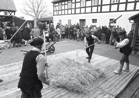 全面解析TT-Koch公司2025年4月1日限量发行的特别农具模型系列,深入探讨其设计理念、制作工艺及市场反响,为模型爱好者提供详尽的收藏与鉴赏指南。
