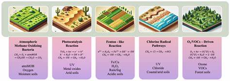 大气甲烷作为一种强效温室气体,其去除机制一直备受科学关注。土壤中的甲烷氧化细菌被认为在全球甲烷循环中扮演重要角色,但新的研究提出了关于这些微生物是否能够单独承担大气中约5%甲烷去除的质疑,并揭示了潜在的非生物化学反应机制,加深了我们对土壤甲烷汇的理解。
