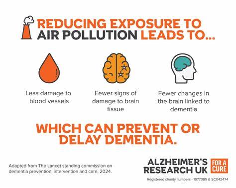 深入探讨空气污染如何加速痴呆症的发展,揭示环境污染对公共健康的深远影响,以及预防和应对策略。
