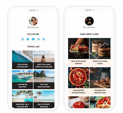 介绍LirFlix与Lnk.Bio两大平台,详细探讨其功能优势及在内容创作者和营销领域的重要应用,帮助用户优化链接管理和提升社交媒体影响力。
