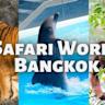 Safari 26.0革新了浏览器的多项核心功能,涵盖无障碍性、动画效果、浏览器兼容性、CSS支持、视频音频播放以及安全隐私等领域,助力用户享受更流畅、更智能、更安全的上网体验。全面解读Safari 26.0的技术升级与优化细节。
