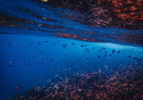 通过深海沉积物与海底锰结核中检测到的放射性铁-60等异常丰度,揭示出数百万至约千万年前近邻超新星向地球注入外来尘埃的线索,解读来源、传输过程、年代学证据以及对地球环境和生命的潜在影响
