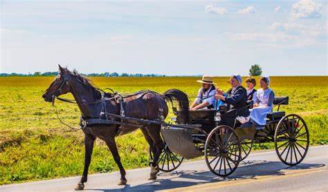 深入分析阿米什男性为何比普通美国白人男性寿命更长,探讨他们独特的生活习惯、劳动方式及其对健康和长寿的积极影响。文章结合最新研究数据,揭示阿米什社区生活方式背后的科学秘密。
