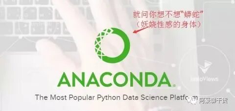 深入探讨初学Python者在自学Anaconda过程中的科学方法与实践策略,帮助读者快速掌握环境配置、包管理及常见问题解决方案,提升学习效率与编程技能。
