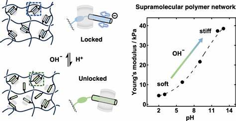 解析动力学锁定在pH敏感复合体中的机制与设计策略,展示其在响应性高分子网络中的合成、表征与应用前景,探讨挑战与发展方向,助力智能材料与生物医用领域创新
