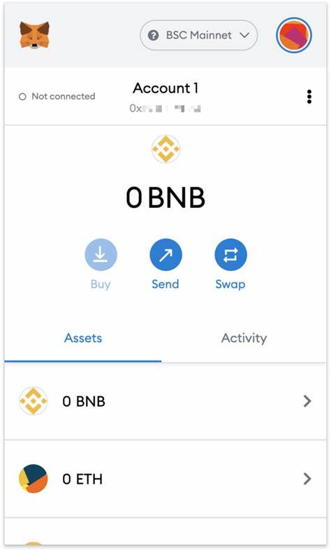 The Best Crypto Wallets for BNB Smart Chain (BSC) - Binance