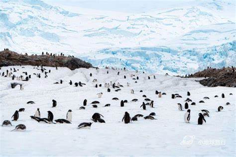 全面详尽解析南极旅行的各项准备与注意事项,结合实地探险经验,帮助旅行者规避常见陷阱,实现安全高效的南极之行。了解最佳出行时间、装备选择、路线规划、安全须知及费用预算,让您的南极探险无忧无虑。
