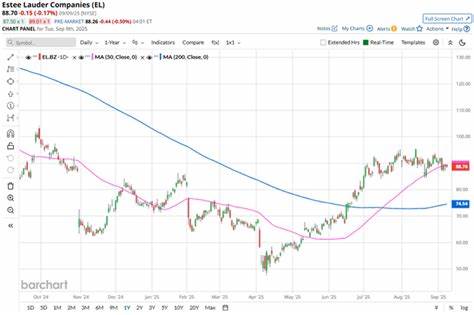 本文深入探讨了雅诗兰黛公司的股票表现,比较其与标普500指数的涨跌趋势,并分析影响其股价波动的多重因素,为投资者提供全面视角。
