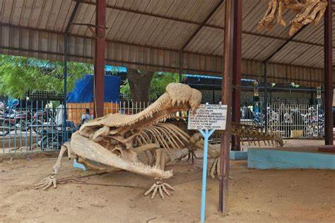 尼日尔作为非洲稀有恐龙化石的宝库,面临着保护和传承这一丰富古生物遗产的诸多挑战。探讨尼日尔如何在资源匮乏和安全威胁中,依靠骨骼守护者和国际合作,守护这些见证亿万年前生命荣光的化石。
