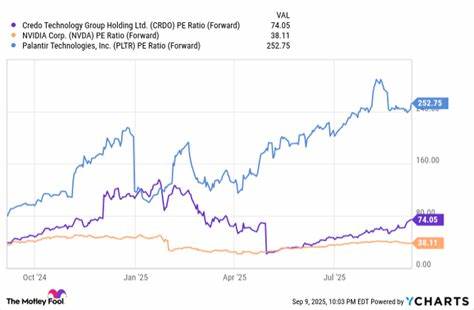 随着人工智能与云计算的迅猛发展,数据中心对高性能互联技术的需求激增,Credo科技作为高端连接硬件的领先者,其股票表现远超大盘,引发投资者广泛关注。本文深度解析Credo的发展优势、市场前景及投资价值,助力投资者做出明智决策。
