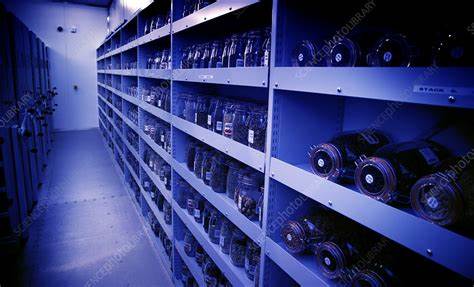 Show HN: Kosign – Cold storage vaults with social recovery