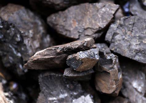 联邦土地上即将举行的多场煤炭租赁拍卖成为观察美国煤炭行业能否在政策推动下回暖的重要风向标,文章分析拍卖细节、行业反应、市场与环境层面的利弊,以及可能的经济与能源影响
