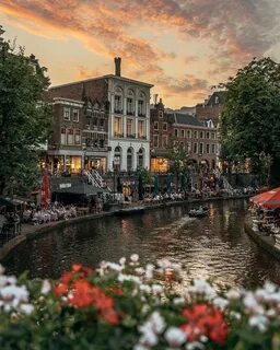 深度解析Pinterest如何在荷兰掀起创意热潮,帮助用户通过图片和视频激发灵感,助力生活方式的多维提升与创新实践。
