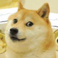 探讨狗狗币(DOGE)在缺少埃隆·马斯克推动下,凭借三大关键因素引发的价格反弹背后原因,解析加密市场的最新动态和未来发展趋势。
