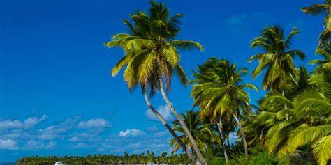 解析FOFO成为市场焦点背后的原因、存在的重大不确定性与潜在风险,提供尽职调查要点、估值评估方法与投资者决策参考,帮助读者在狂热与谨慎之间做出更理性的选择。
