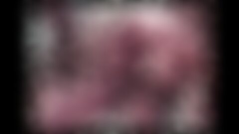 深入解析成人视频网站的内容趋势、用户体验、隐私与合规问题,并从创作者和平台运营角度提供可执行的优化与安全策略,帮助用户与内容制作者在合法与负责任的框架下理解免费与付费成人内容生态。
