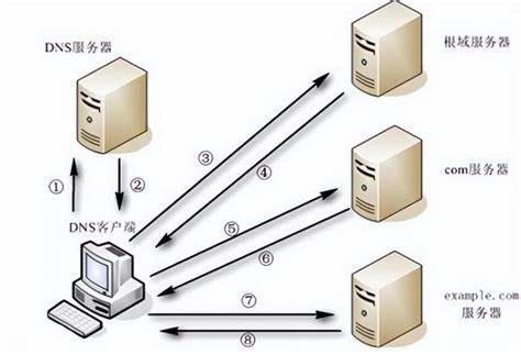 深入探讨多种方法帮助用户快速准确地查看当前系统所使用的DNS服务器,涵盖Windows、macOS、Linux及移动设备,提升网络诊断与优化的技能。
