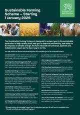 全面解析2026年起在威尔士实施的可持续农业计划(Sustainable Farming Scheme,SFS),涵盖参与资格、关键"通用行动"、支付结构、可选与协作层级、常见地支持以及农场如何提前准备以提升产能、环境与气候韧性。
