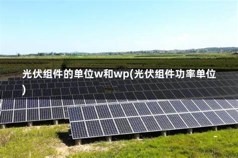 解析太阳能光伏组件标注的W与Wp含义、测试条件与会影响实际发电量的关键因素,提供选购与系统设计时的实用建议,帮助用户更准确估算发电收益与比较不同产品
