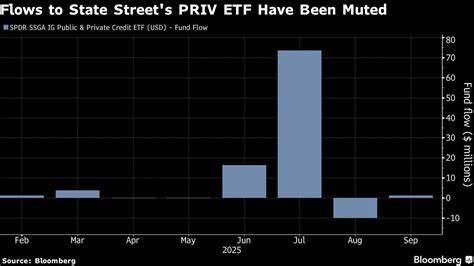 摩根大通提交计划将私募信贷产品以ETF形式公开交易,该举措可能重塑私募信贷的流动性、透明度和定价机制,对机构与个人投资者均具深远影响,文章解析其运作模式、潜在利弊与市场意义。
