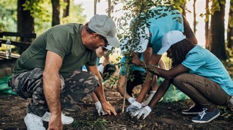 最新研究表明,森林扩展不仅有助于生态环境的改善,还能显著提升农业产出,实现生态保护与农业发展的和谐共赢。本文深入探讨森林扩展对农业的积极影响,分析其机理及未来应用前景。
