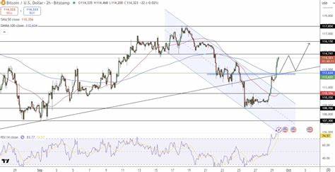 本文深入分析比特币近期价格波动及市场动态,探讨周收盘价若能稳定站上114K美元,如何为其价格冲刺120K美元铺平道路,结合市场数据与专家观点,全方位解读未来比特币涨势与投资前景。

