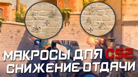 全面介绍适用于CS2(Counter-Strike 2)游戏的宏脚本,解析其技术优势、兼容设备及对游戏性能的提升,助力玩家提升游戏体验和操控水平。
