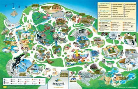 全面介绍圣地亚哥海洋世界的开放时间和每日活动安排,帮助游客合理规划行程,享受难忘的海洋探险体验。文章深入解析园区各项表演和活动时间,提供实用信息,提升游览效率。
