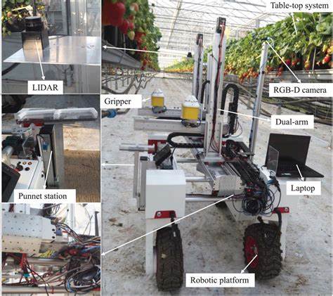 围绕草莓采摘机器人从概念到商业化的设计方法、关键技术、系统集成与田间试验结果展开讲解,剖析视觉识别、机械抓取、路径规划、作业效率与经济性评估,为农业自动化实践提供可落地的参考与策略
