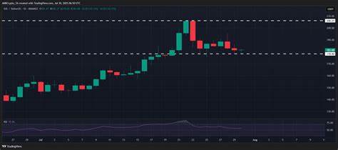 深入解析Solana(SOL)在短线闪崩至约205美元后散户杠杆多头被清洗的市场反应,探讨机构抄底行为、美债/宏观风险、SEC 对现货 SOL ETF 的决策时点对价格的影响,以及交易者在当前环境下可参考的风险管理与操作思路
