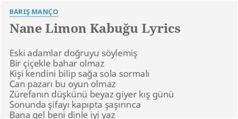 深入解析土耳其传奇歌手Barış Manço的作品《Nane Limon Kabuğu》,探讨其歌词背后的文化内涵和哲理,领略音乐与生活智慧的完美结合。
