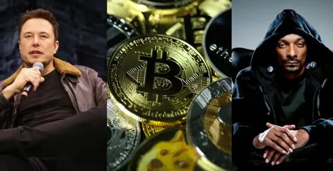 Elon Musk and Snoop Dogg Push Cryptocurrencies to Record Highs (Published 2021) - The New York Times