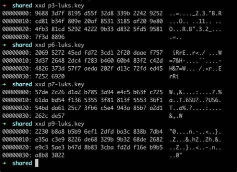 探索在Linux系统运行过程中,意外丢失LUKS加密密钥后,如何通过内存转储技术有效恢复关键加密信息,保障数据安全并避免数据丢失的实战方法与技巧。

