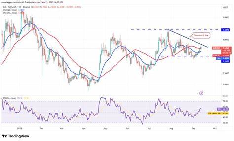深入分析主要加密货币的价格趋势与关键技术指标,探讨BTC、ETH、XRP、BNB、SOL、DOGE、ADA、LINK、HYPE及SUI未来可能的价格走向,帮助投资者把握市场脉搏,洞悉潜在机遇与风险。
