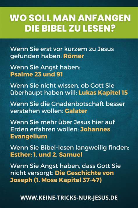 全面介绍如何有效地开始阅读圣经,帮助初学者克服困惑,掌握实用技巧,体验圣经带来的精神启迪与生活指导。
