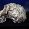 First ever skull from 'Denisovan' reveals what ancient people looked like
