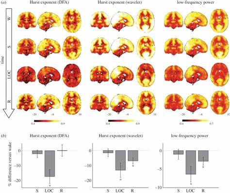 神经科学家正致力于寻找大脑失去意识时的共同特征,这一突破不仅有助于揭示意识形成的奥秘,也为麻醉安全和意识障碍患者的治疗带来新的希望。本文深入探讨脑电波变化与意识消失之间的关系,解析不同麻醉药物如何引发统一的大脑活动模式,展望未来医疗应用的革新路径。
