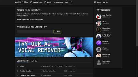 深入解析X-Minus平台上最受欢迎的50首卡拉OK歌曲,涵盖多种音乐风格与演唱特点,助你轻松选择最适合自己的卡拉OK曲目,提升唱歌体验。

