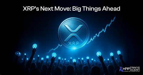 深入解析XRP潜在上涨动力,探讨市场趋势、技术进步及监管环境如何共同推动其价格上涨,揭示投资者不能忽视的关键因素。
