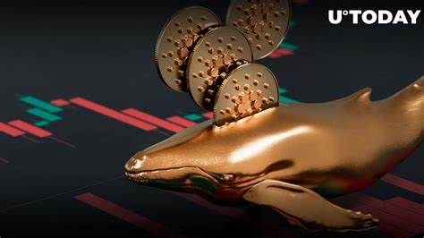 Cardano's ADA Plunges Under $1, But Whales Are Still All In - U.Today