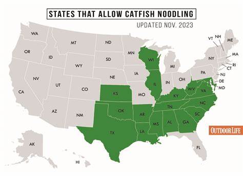 Noodling for Catfish Legalized (2011)