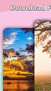 深度解析安卓平台上图片下载应用的功能特性与使用体验,帮助用户轻松获取高质量图片,实现图片搜索、下载与管理的高效操作。
