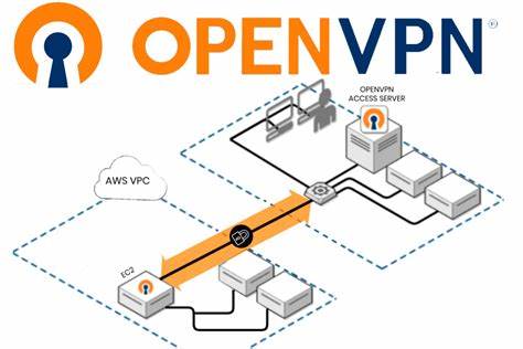 介绍 OpenVPN Connect 在不同操作系统上的安装、配置与最佳实践,解释企业级部署与个人隐私保护的关键点,帮助用户在 Windows、macOS、Linux、iOS、Android 和 ChromeOS 上稳定、安全地使用 OpenVPN 连接
