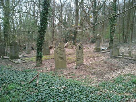 深入探索位于荷兰格尔德兰省的蒙特弗兰德,这片风景如画的地区融合了丰富的历史遗迹与壮丽的自然景观,是户外爱好者与文化探索者的理想去处。了解这里的必访景点、徒步路线、美食体验以及更多精彩内容,开启一段难忘的蒙特弗兰德之旅。
