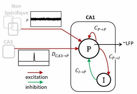 探讨生物数学与图搜索技术的交汇,聚焦EPFL Graph Search的设计理念、关键功能、实际应用场景与最佳实践,帮助研究者和工程师在蛋白质相互作用、基因调控、流行病建模等生命科学网络分析中高效检索与发现新知识

