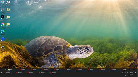 深入解析Windows 11任务栏颜色的更改方法,帮助用户快速调整系统界面,使桌面更加美观与个性化,同时解决常见问题与疑惑。
