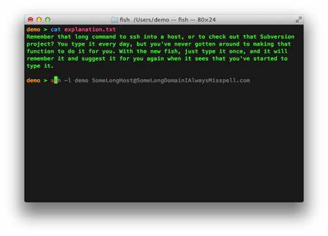 全面解析 fish shell 的设计理念与实用功能,涵盖安装方法、关键特性、脚本与配置策略、从 bash/zsh 的迁移建议以及如何参与社区开发,帮助开发者与运维人员在 macOS、Linux、BSD 与 Windows 环境中构建更高效的命令行工作流。
